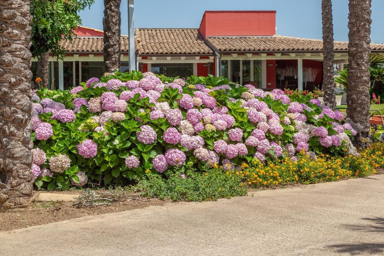 Il Giardino Degli Dei Villa San Leone Buitenkant foto